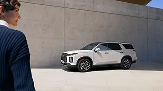 Palisade frontal