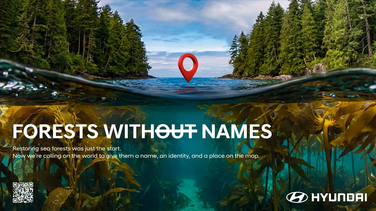 Bosques sin Nombre: Hyundai Motor Saca a la Luz los Bosques Marinos Ocultos del Mundo