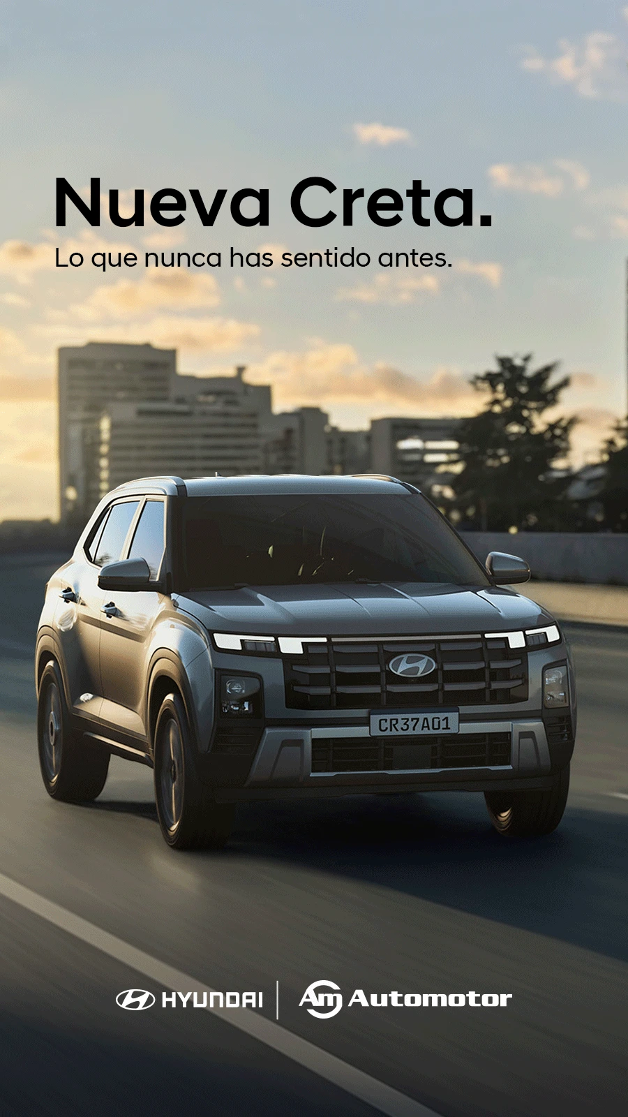 Nueva Creta Banner